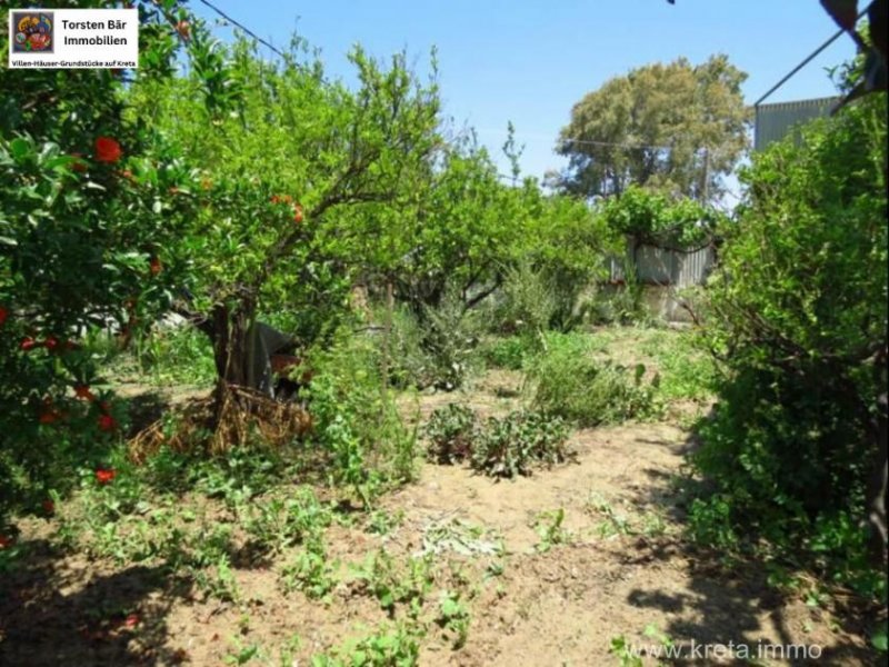 Sitia Kreta, Sitia, Haus mit großem Garten in Strandnähe zu verkaufen in Sitia Haus kaufen